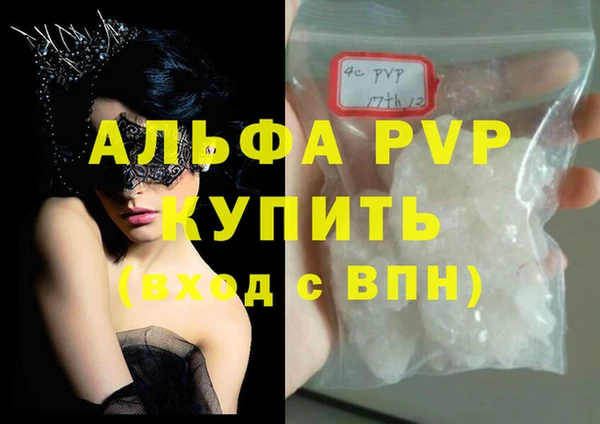эйфоретик Бородино