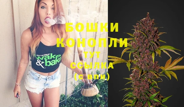 эйфоретик Бородино