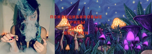 эйфоретик Бородино