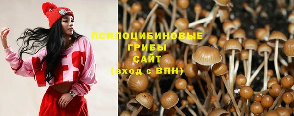 эйфоретик Бородино